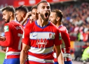 开云体育在线-格拉纳达力克毕尔巴鄂，夺得胜利的简单介绍