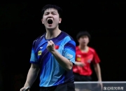 开云体育平台APP-瑞典乒乓球队血洗波兰乒乓球队，樊振东制霸全场的简单介绍