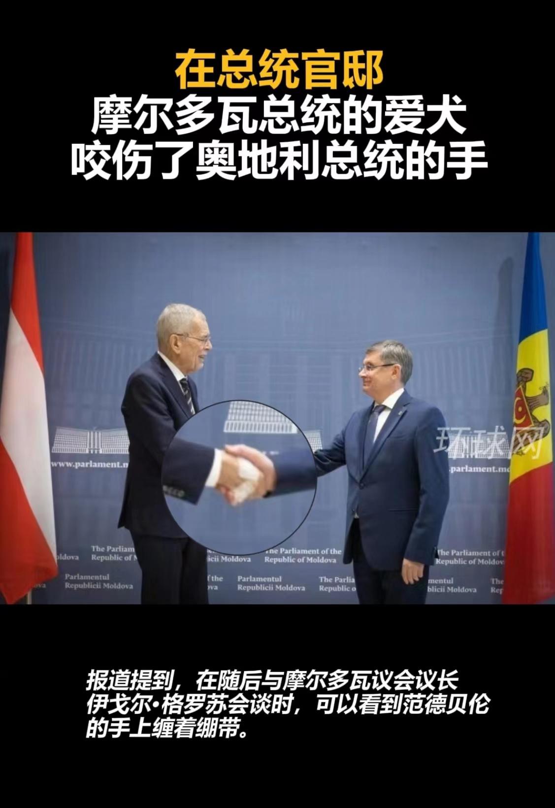 奥地利主场逼平摩尔多瓦，小组排名仍不变的简单介绍