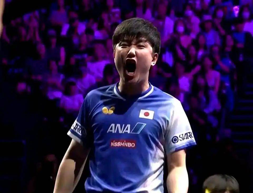 中国乒乓球队绝杀奥地利乒乓球队，张本智和关键制胜的简单介绍