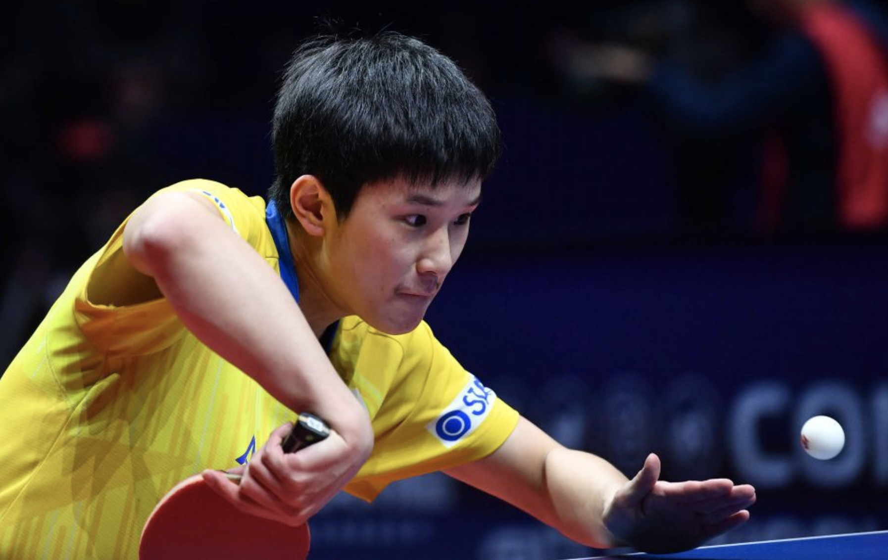 日本乒乓球队逆转瑞典乒乓球队，水谷隼惊艳世界的简单介绍