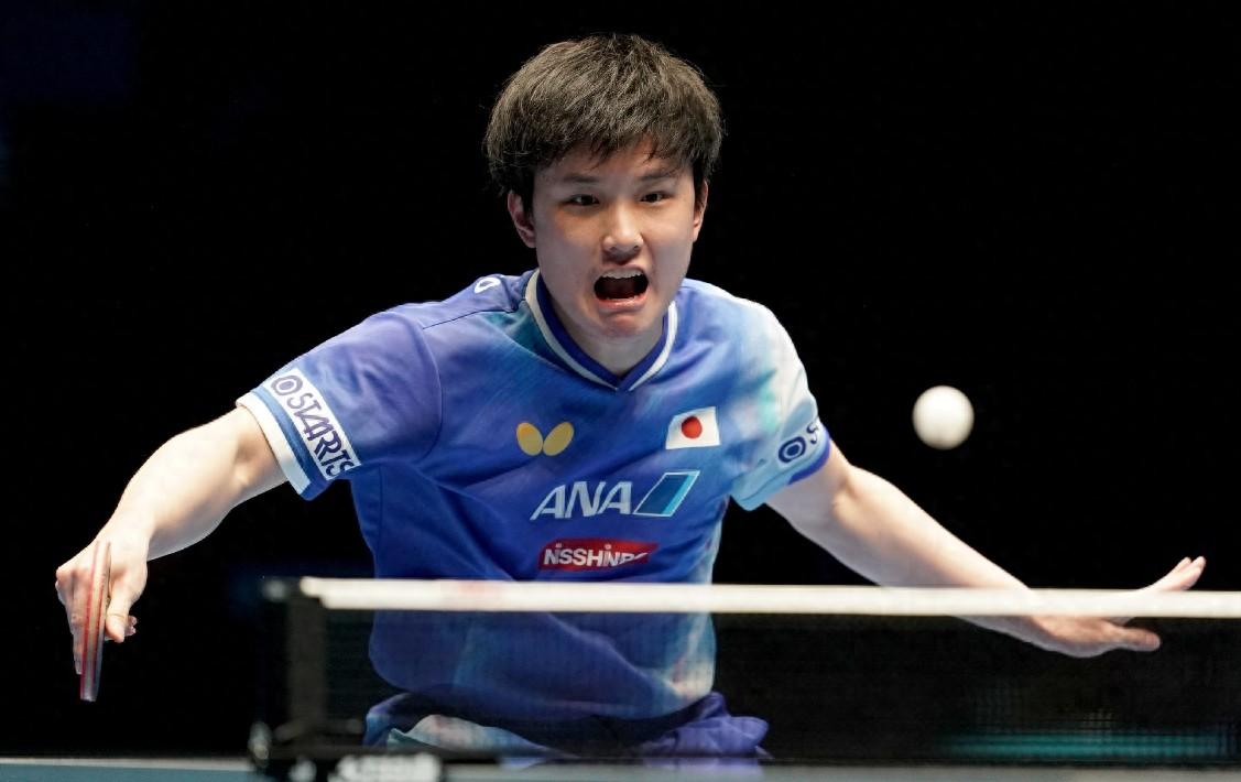 包含德国乒乓球队绝地反击法国乒乓球队，张本智和惊艳世界的词条